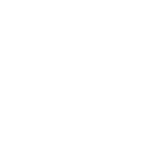 truck icon