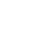 shopping cart icon