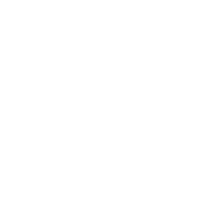 check icon